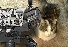 Cat and augemented reality NASA rover