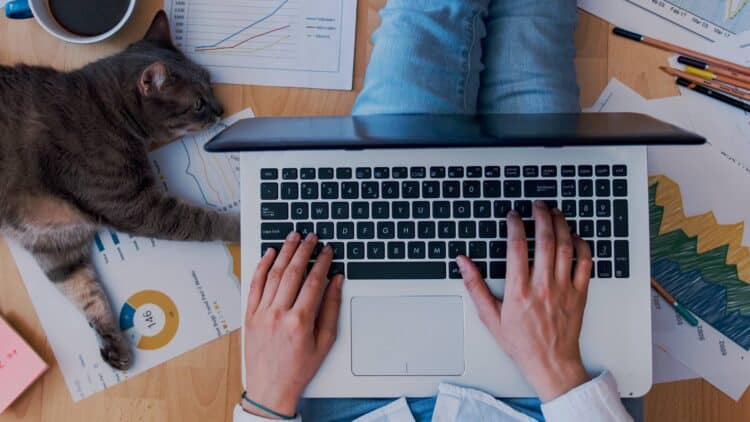 work from home