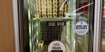 Egg recall