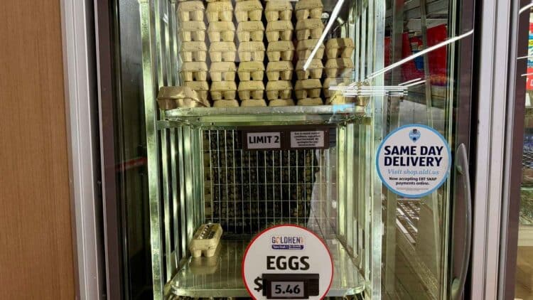 Egg recall