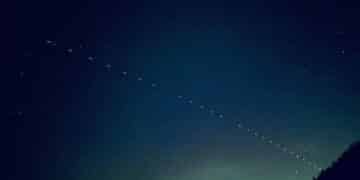 Starlink Vodafone