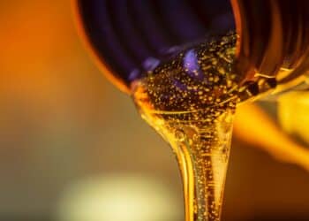 Colombia to host first global summit dedicated to phasing out fossil fuels