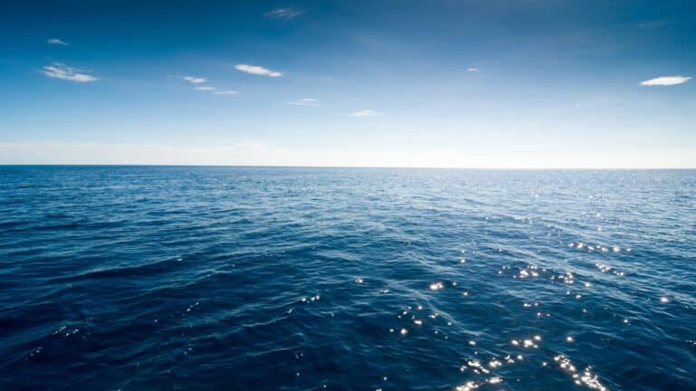 High Seas Treaty to take effect in early 2026
