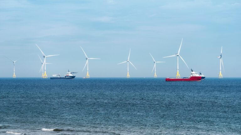 UN high seas treaty