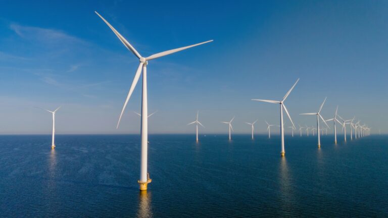 offshore wind tender