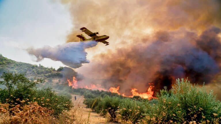 U.S. firefighter programs