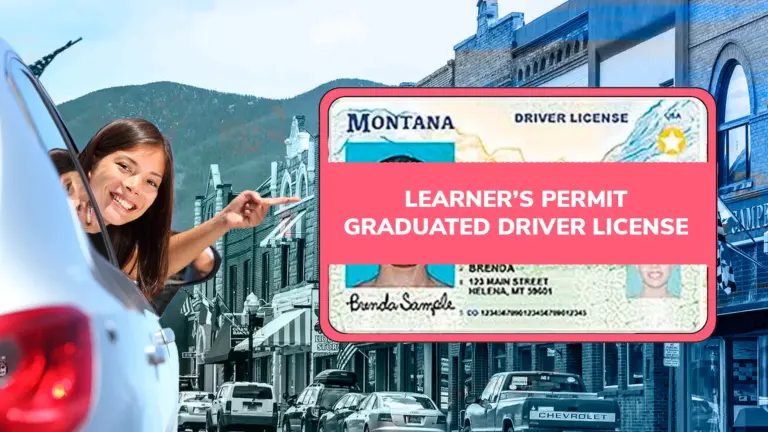 licensing process in Montana