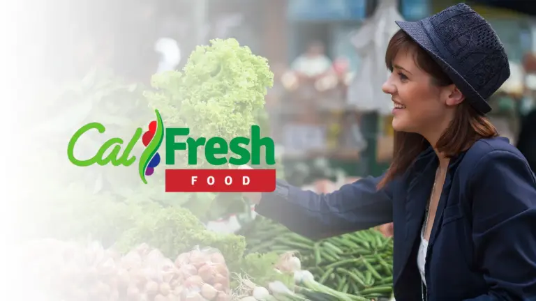 apply for CalFresh