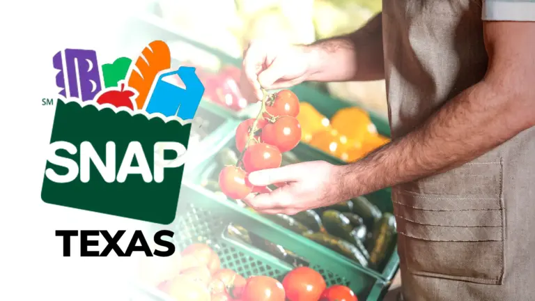 SNAP food benefits in Texas