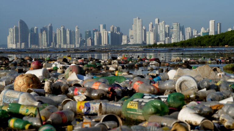 plastic; oil; Trump; treaty