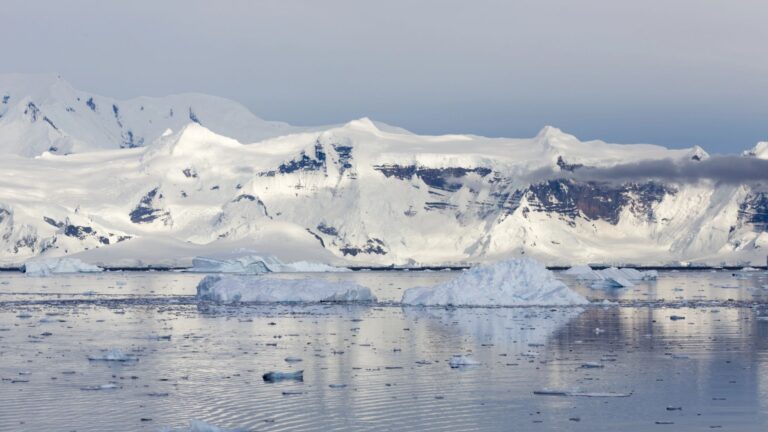 Antarctic