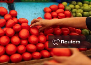 apply for CalFresh California