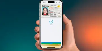 California driving license