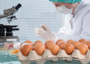 salmonella outbreak Metabolic