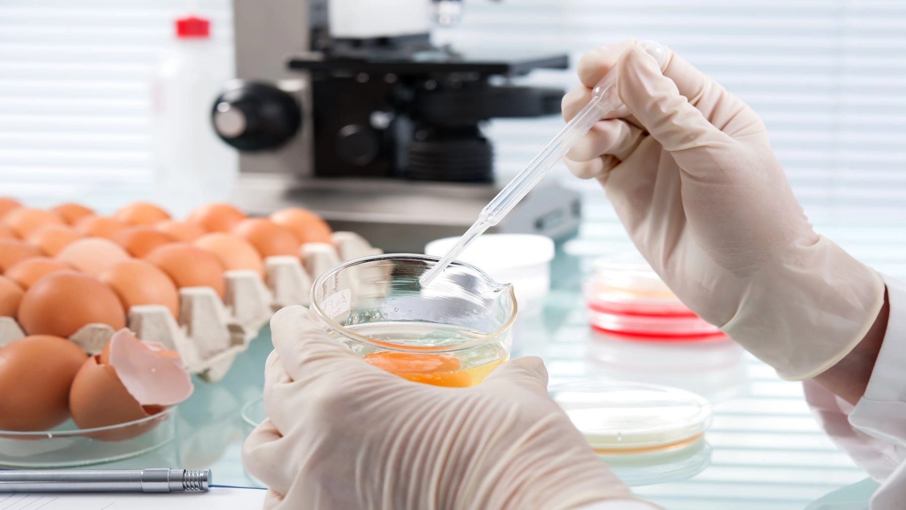 CDC salmonella outbreak