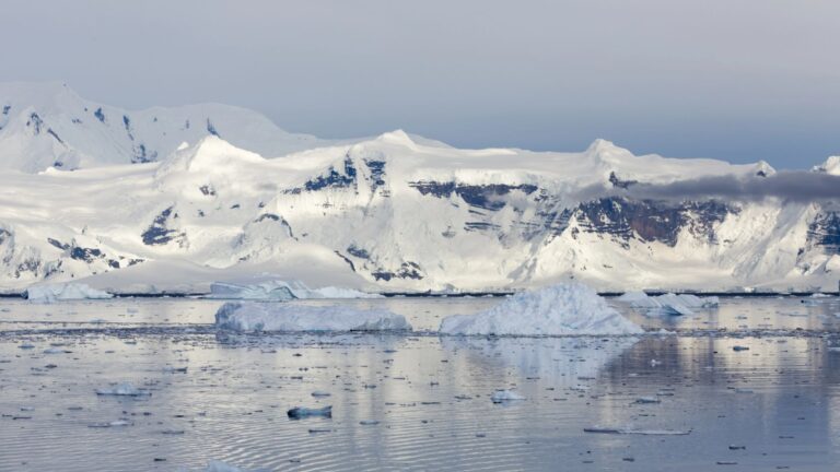 climate