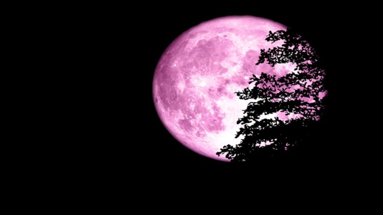 Total Lunar Eclipse