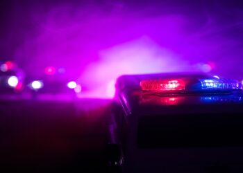 San Diego immigration prosecutions