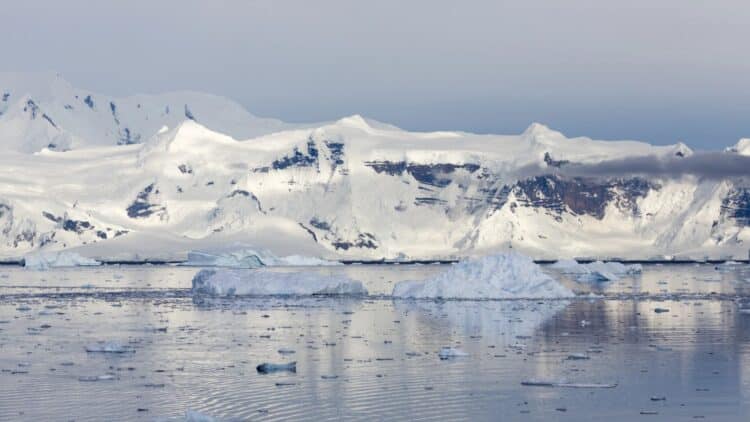 Antarctic