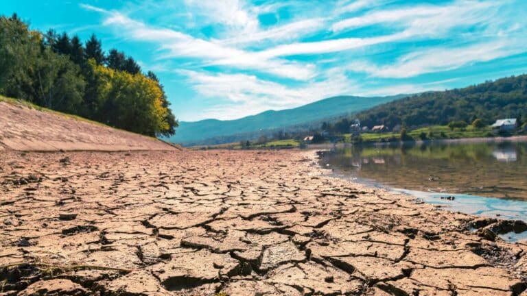 Climate