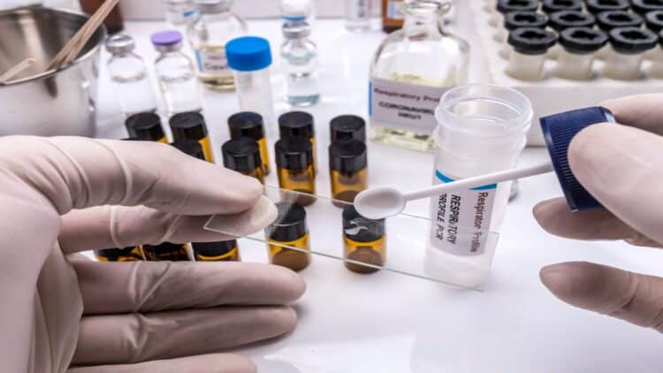 WHO strengthens epidemic tracking with new open-source system 1 WHO launch