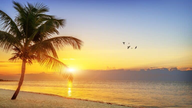 Antigua and Barbuda chosen to host 2026 Commonwealth Summit.