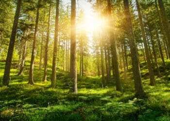 UN secretary-general tells COP30 that missing 1.5°C goal would be a catastrophe