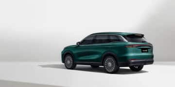 The Chery Tiggo 9 experiencing mixed reviews from the general public