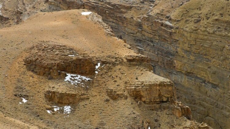 Global land-mine deaths rise as new conflicts and treaty withdrawals fuel deployment 1 land-mine