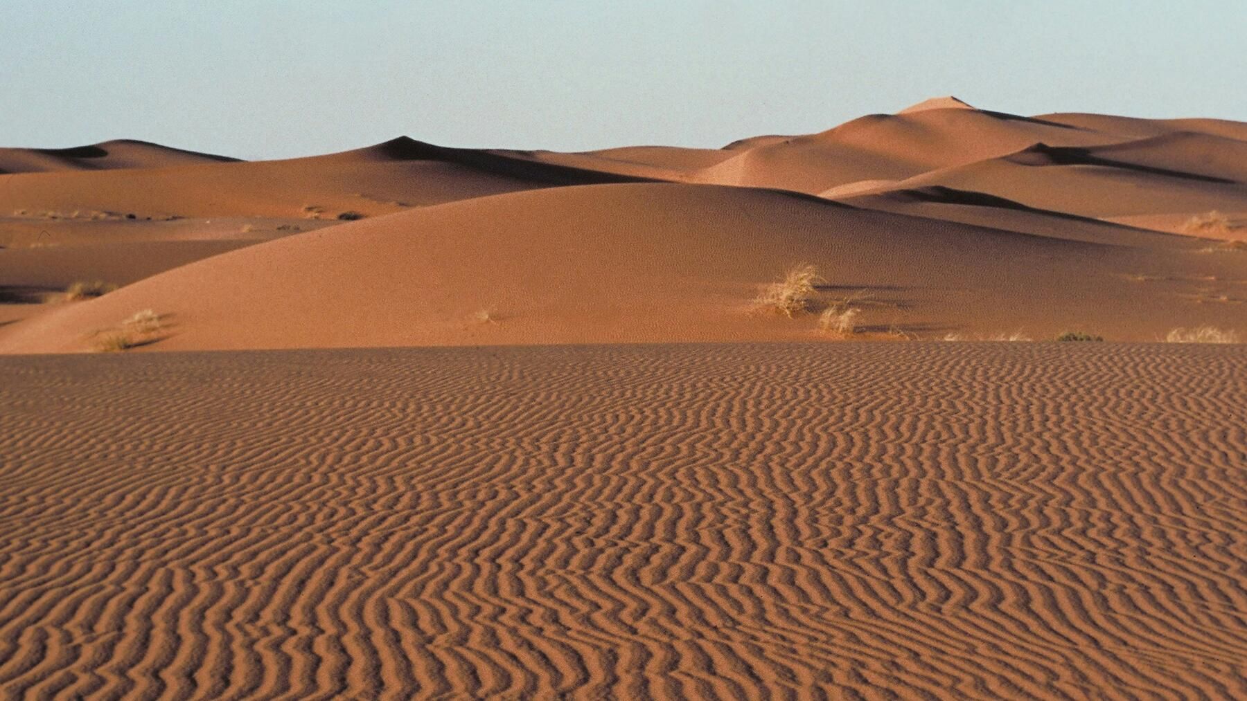 Saudi Arabia hosts the start of the 2026 Dakar Rally