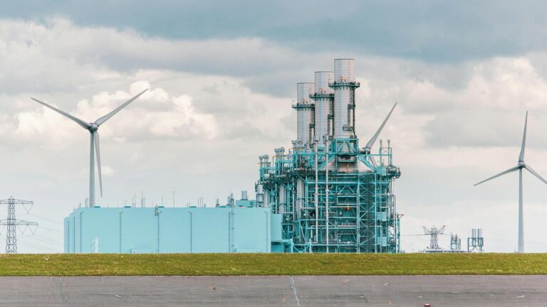 hydrogen co-firing