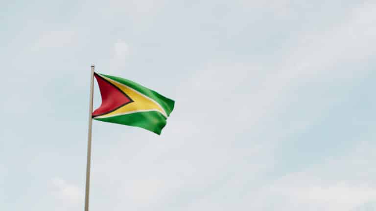 Guyana finance minister