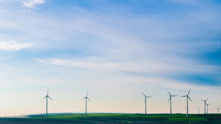 OMV's green hydrogen project