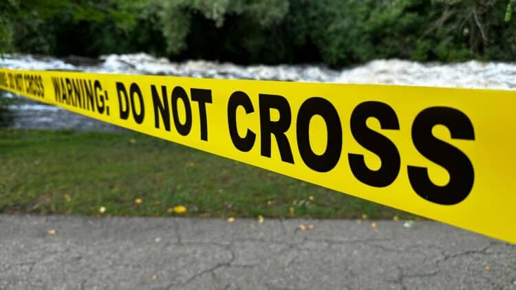 New Year's Day hit and run