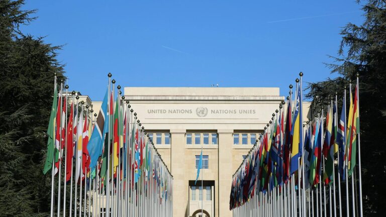 UN warns global economic growth remains fragile and uneven worldwide