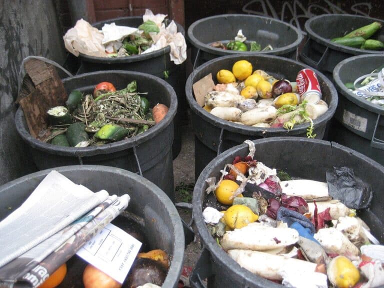 Wilted produce being discarded in a kitchen bin, illustrating food waste cost, food worth