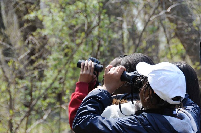 Birdwatching bookings jump 65 percent as hobby goes mainstream